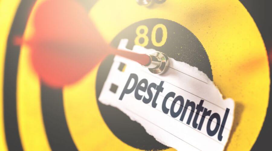 Professional 24 hour pest control services in Venice